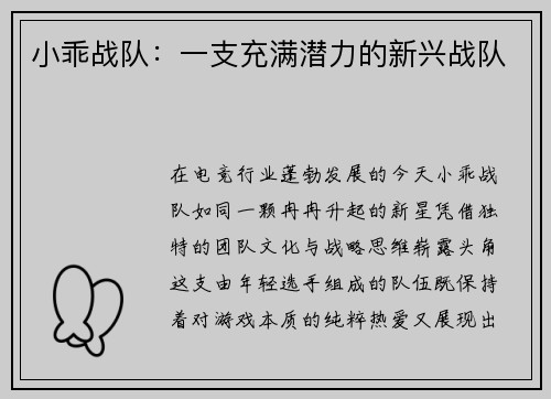 小乖战队：一支充满潜力的新兴战队