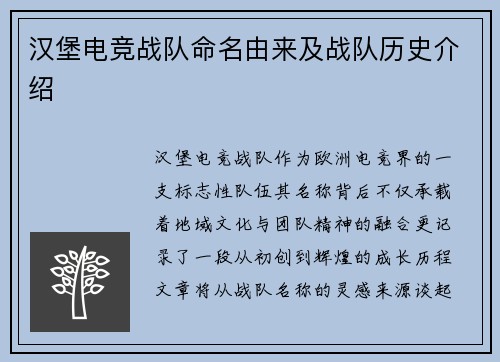汉堡电竞战队命名由来及战队历史介绍